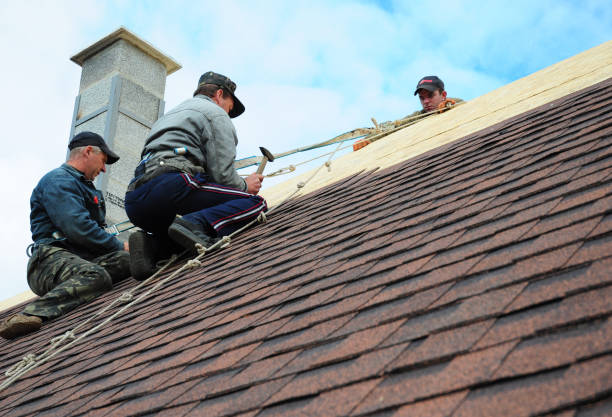 Best Gutter Installation and Roofing  in Leona Valley, CA