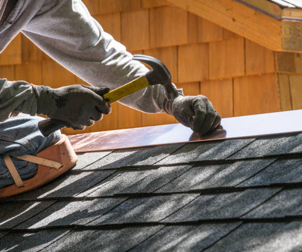 Best Roof Gutter Cleaning  in Leona Valley, CA